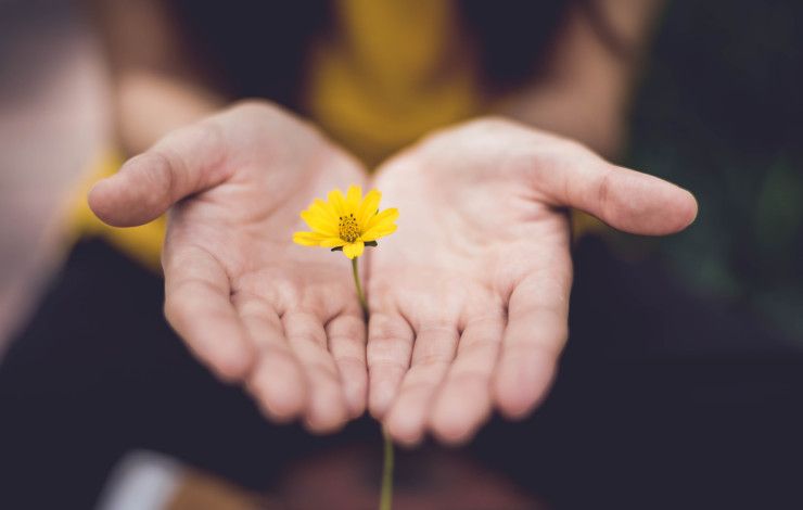 a person holding a flower