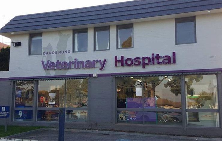 Dandenong Veterinary Hospital 