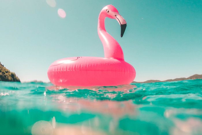 vacation flamingo
