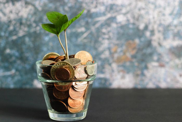 coins in a jar with a plant growing out of it
