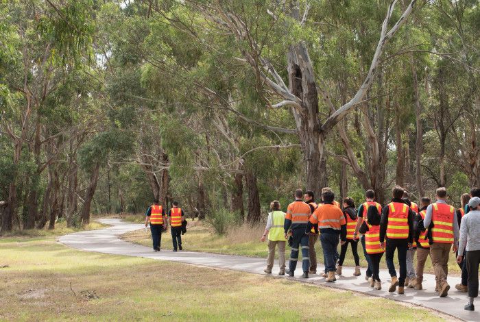 Dandenong Creek bird box building day