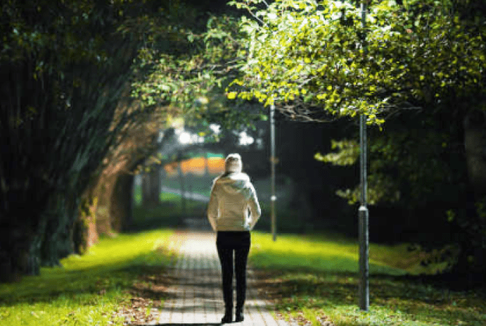 Public Lightings Map