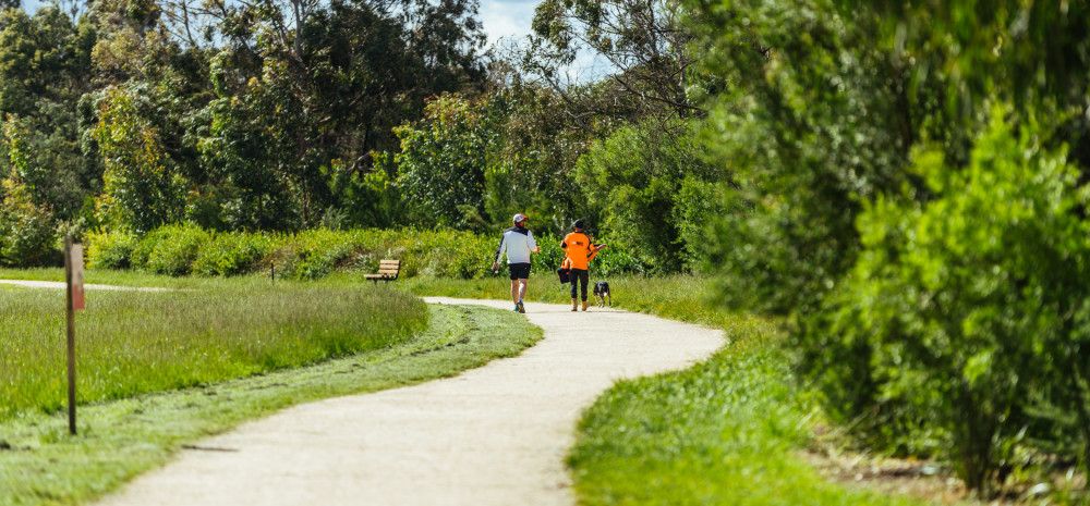 image of path and grass