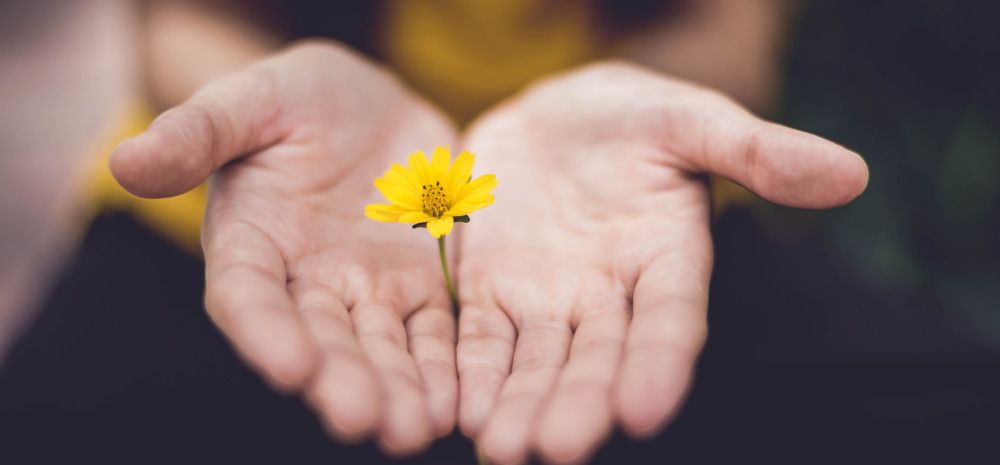 a person holding a flower