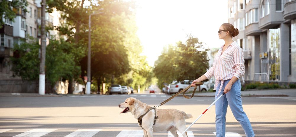 person crossing road with guide dog