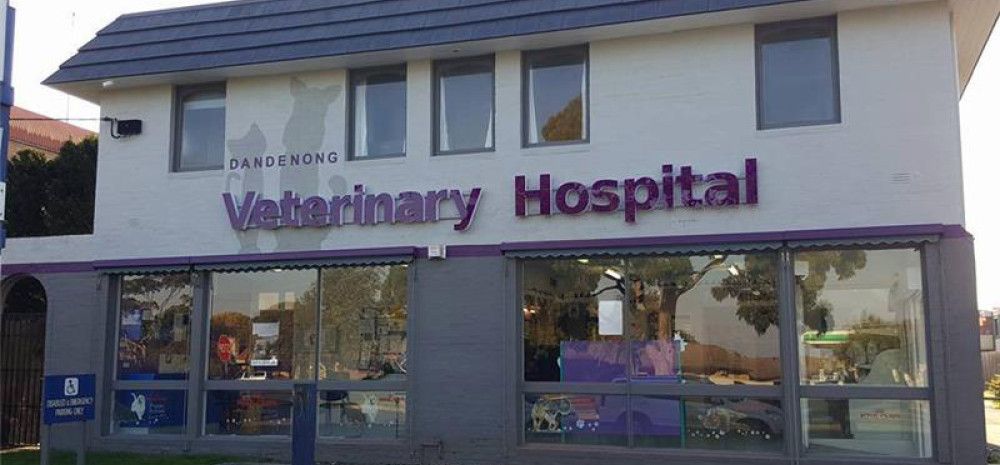 Dandenong Veterinary Hospital 