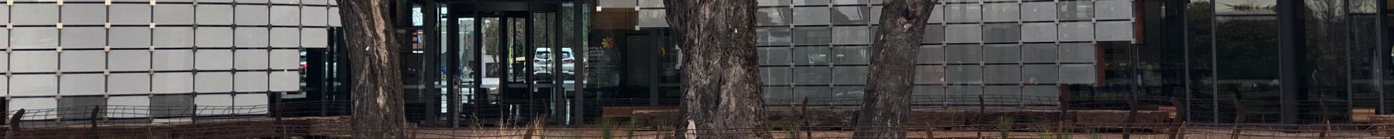 Springvale Community Hub