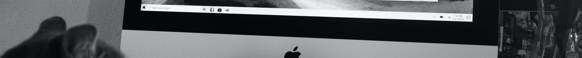 cat using microsoft teams