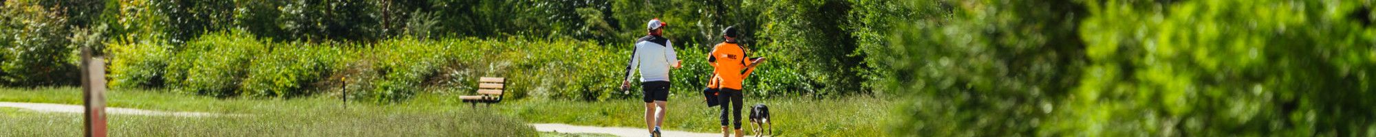 image of path and grass