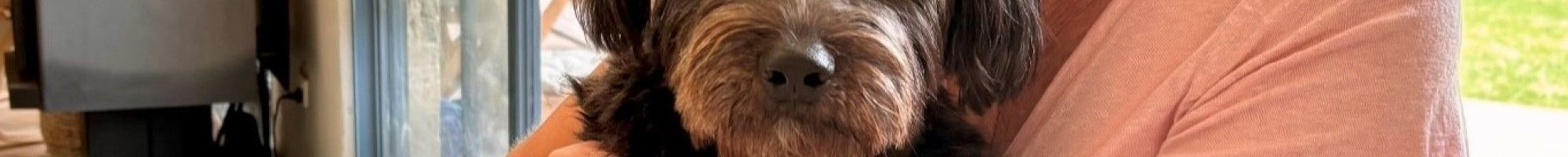 Jacqui Weatherill with dog