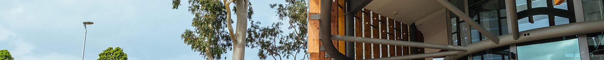 Springvale Community Hub