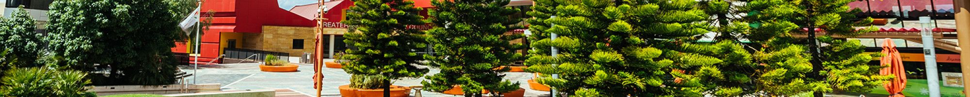 Dandenong Civic Centre building