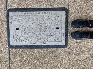 Miranda Harwood - patterns - found on my morning walk