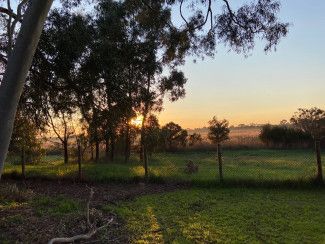 Miranda Harwood - something new  a sunrise is always an opportunity for a new beginning