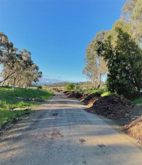 Emma Featherstone - shadow - a beautiful srping day and some afternoon shadows onthe Yarra Valley trail - Wurundjeri Country