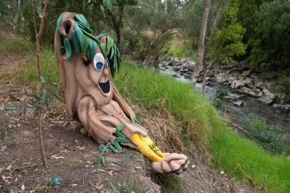 I love to spend time by the Dandenong Creek