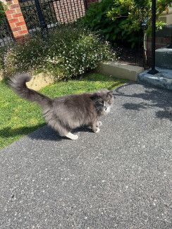 Fortnightly Five with Tony Barca