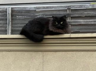 Fortnightly Five with Tony Barca